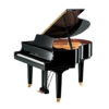 Yamaha GB1