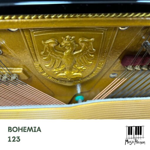Bohemia 123 Exclusive – Image 5