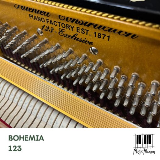 Bohemia 123 Exclusive – Image 4