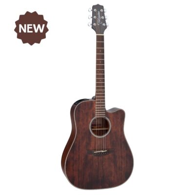 Takamine GD21CE Satin Molasses