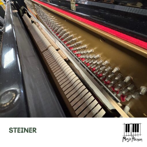 Steiner – Image 2